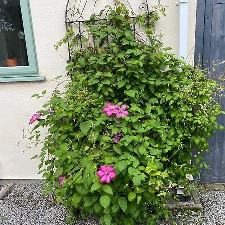 Rural Cosy Retreat For Two Near Port Isaac Apartman Delabole Kültér fotó